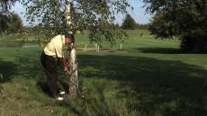 Up against a tree